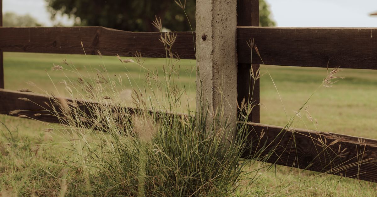 Rustic wooden fence surrounded by lush green grass, evoking a serene countryside feel.